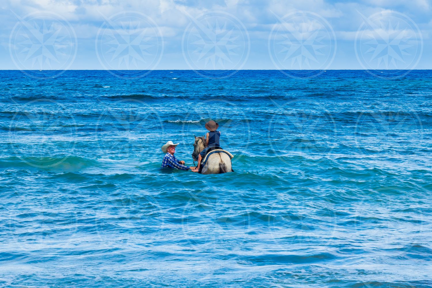 Horse in the water with boy