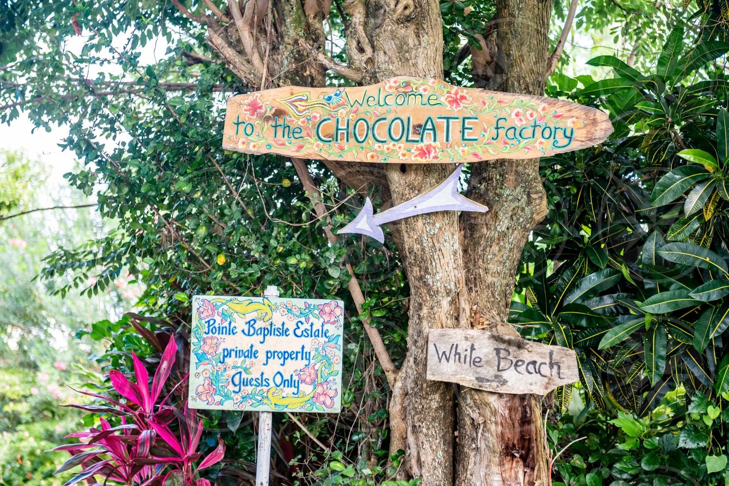 Chocolate factory sign