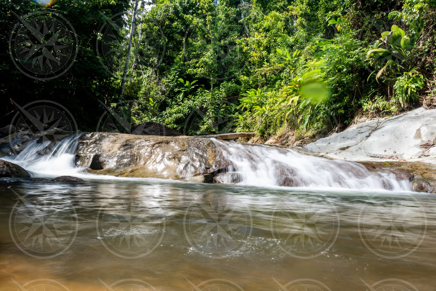 Dominica river