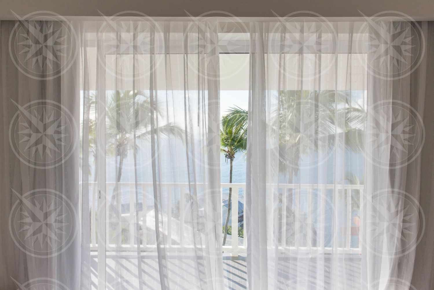 Coconut palm trees through curtains from inside