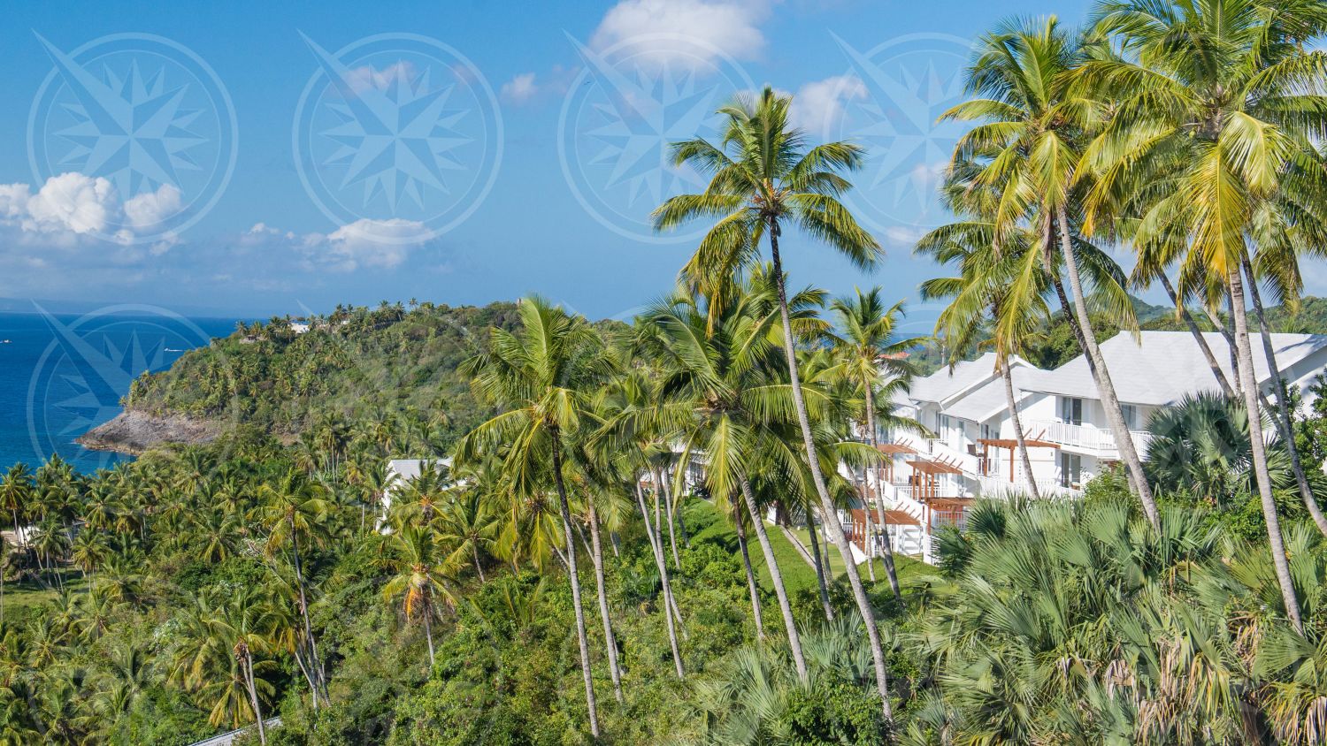 Hotel within coconut palm trees