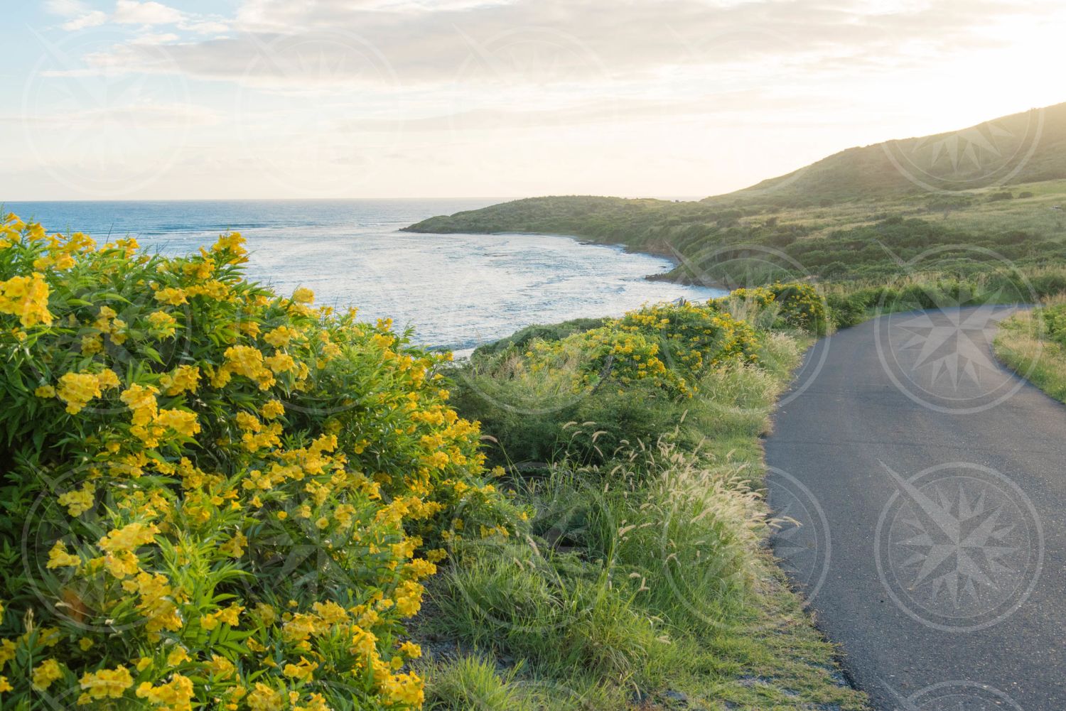 Road to Point Udall, St. Croix