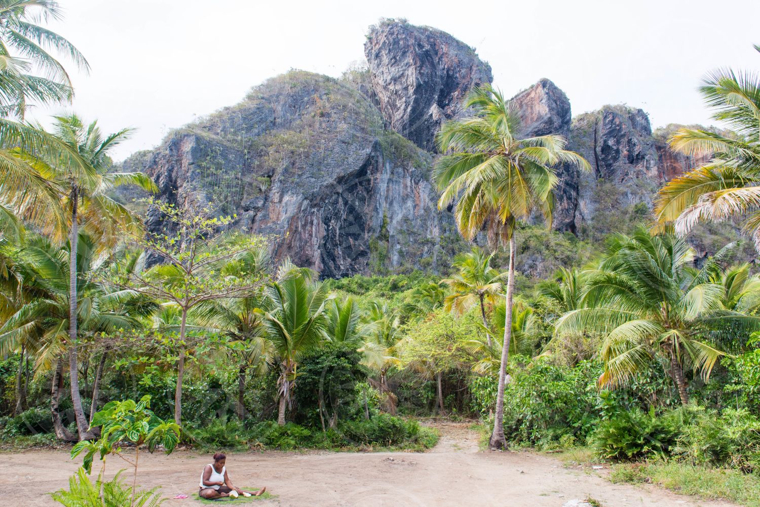 Woman sitting in front of coconut palm trees and rock formation