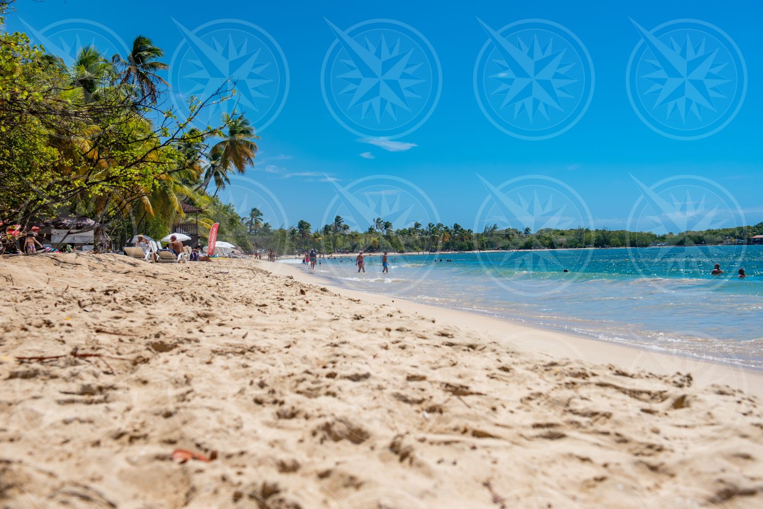 Beach with people