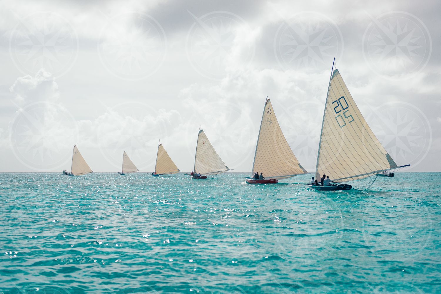 Black Point Regatta 6