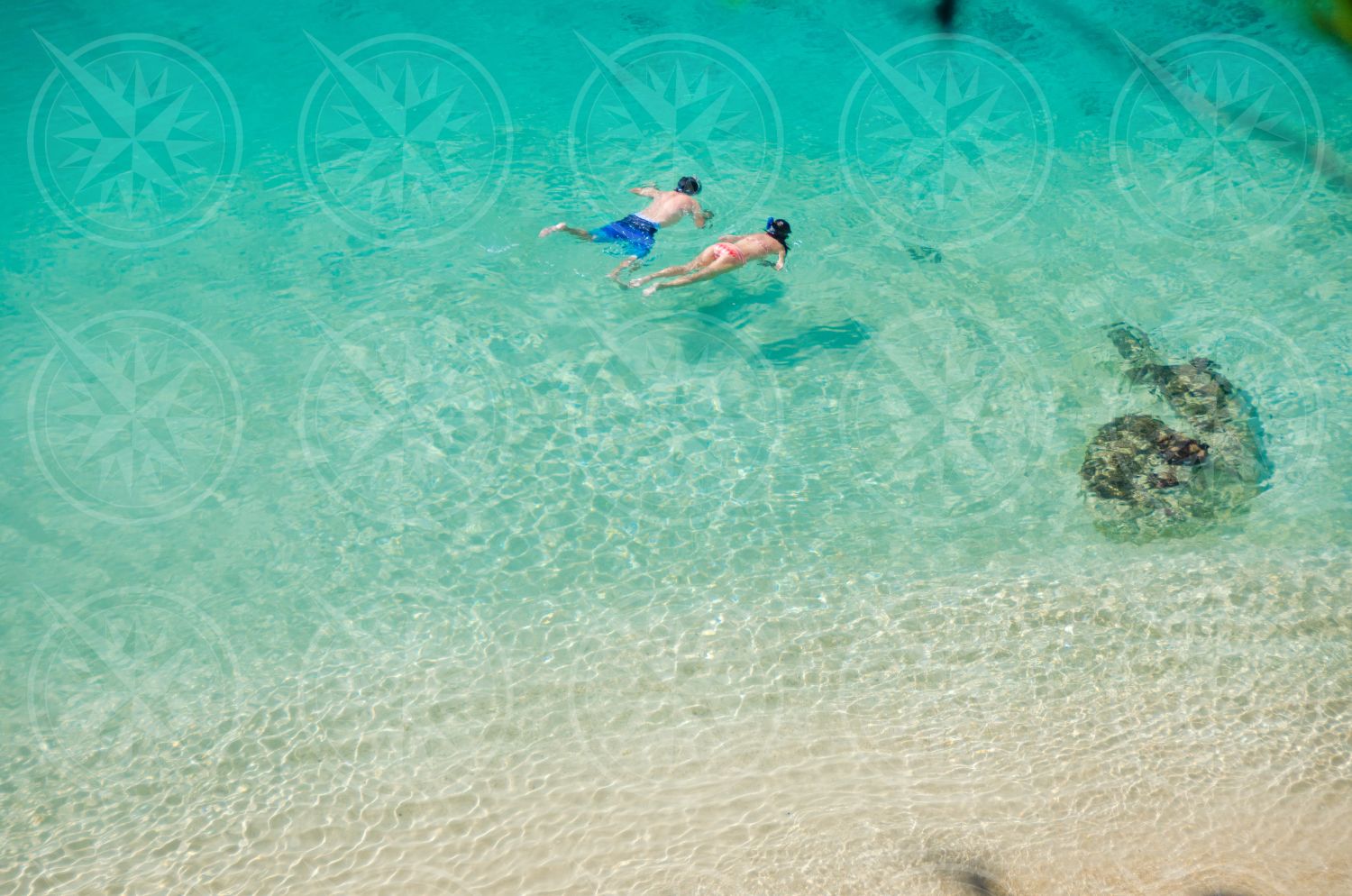 Snorkeling at the beach