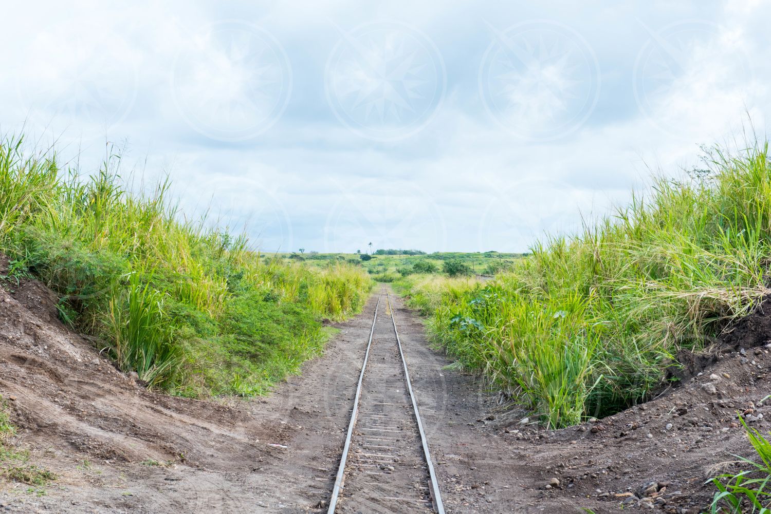 St. Kitts’ Scenic Railway tracks