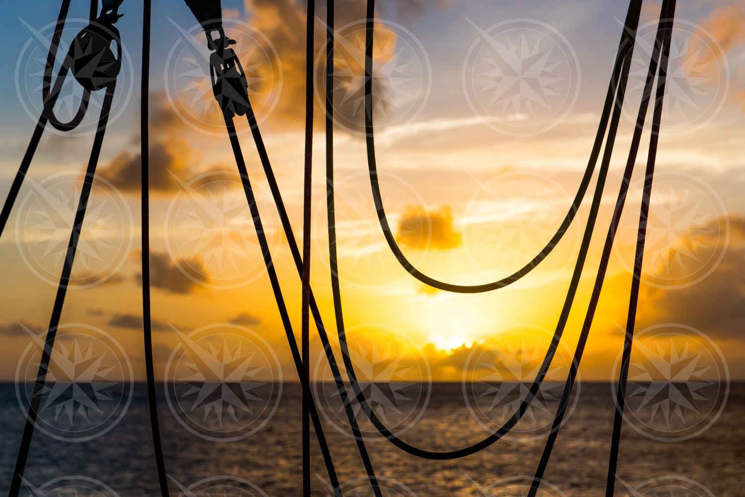 Sailing lines at sunset