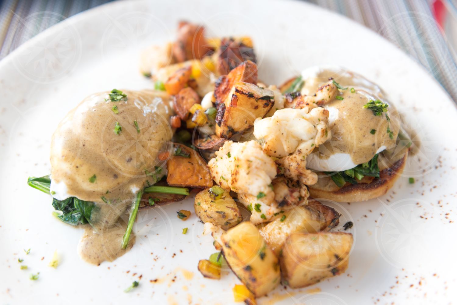 Lobster eggs benedict