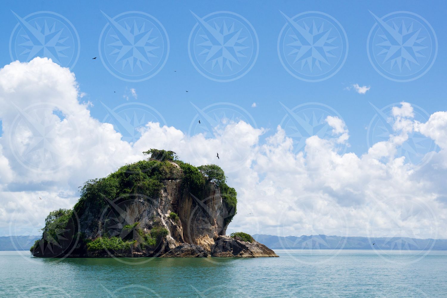 A rock at Los Haitises National Park, Dominican Republic