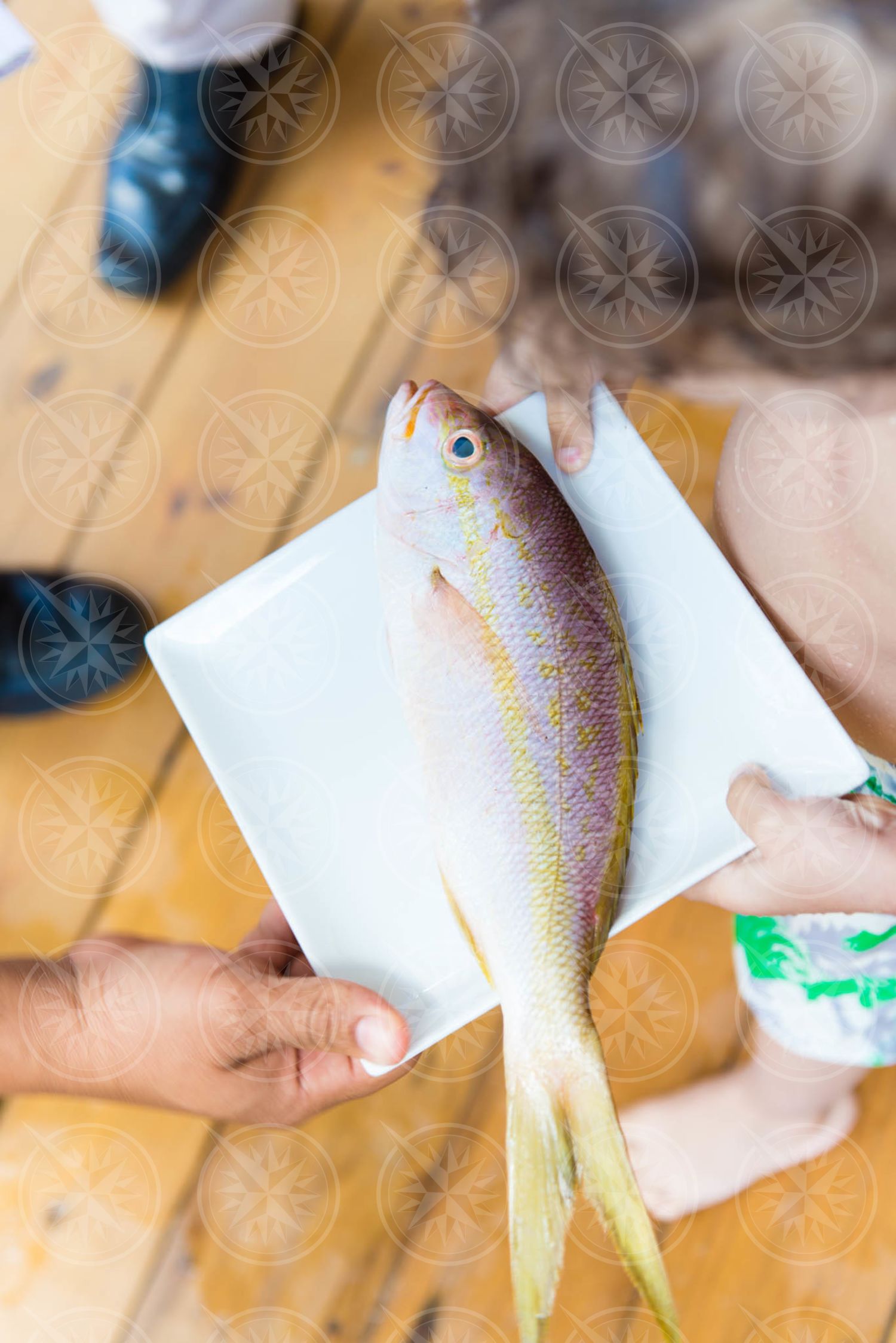 Fish being handed to young boy