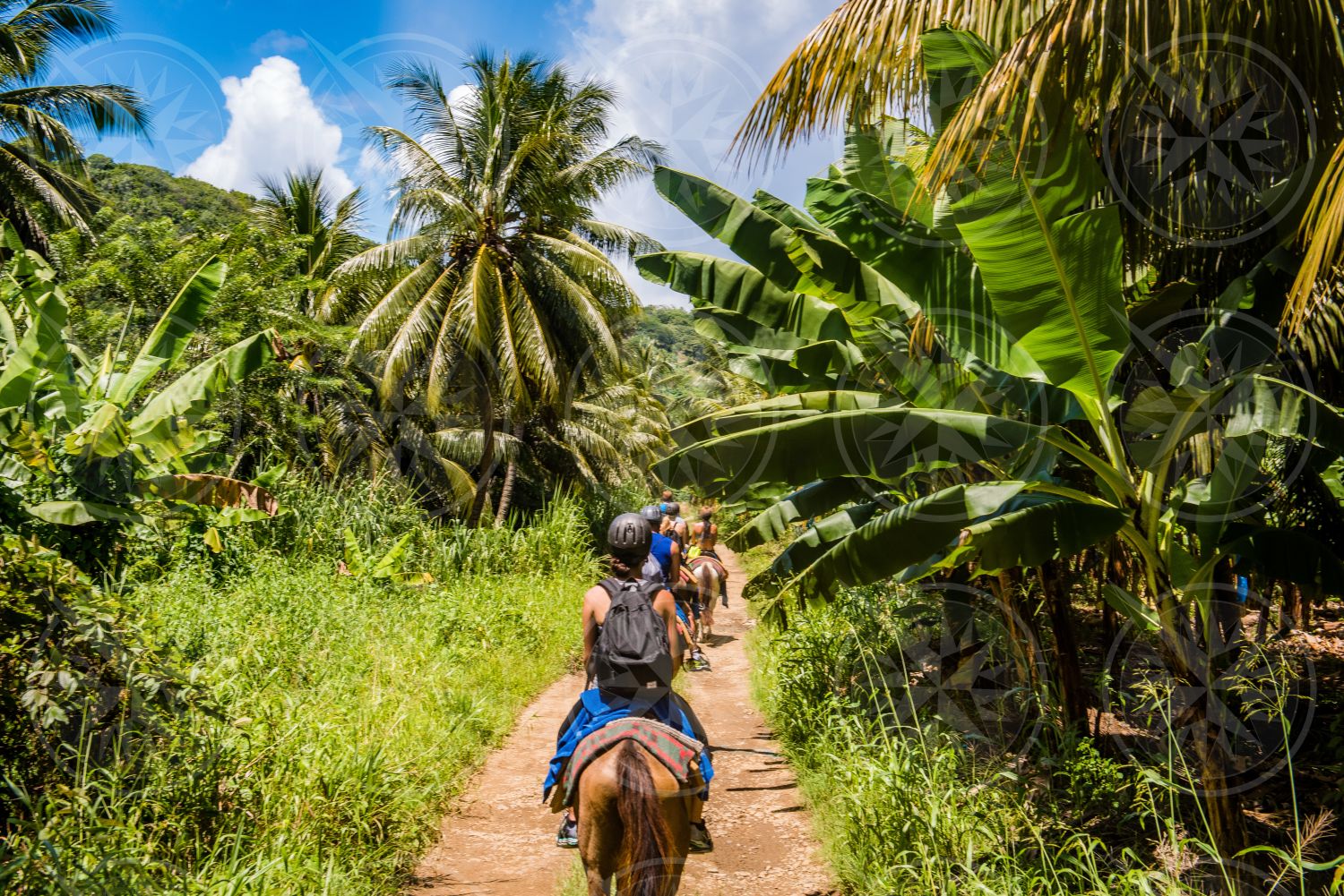 St. Lucia