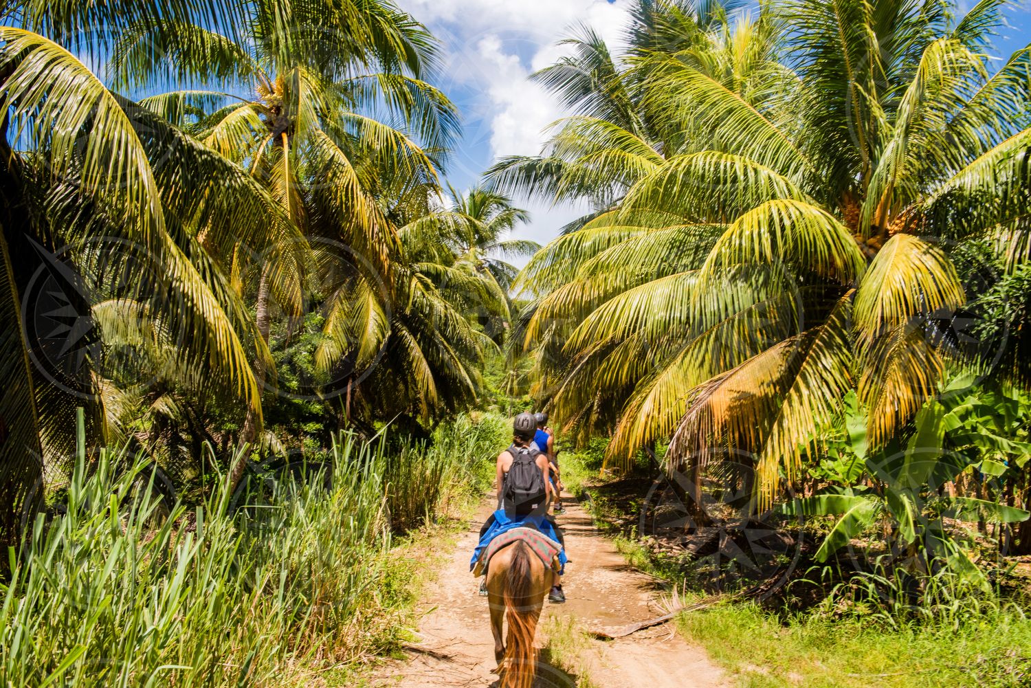 St. Lucia