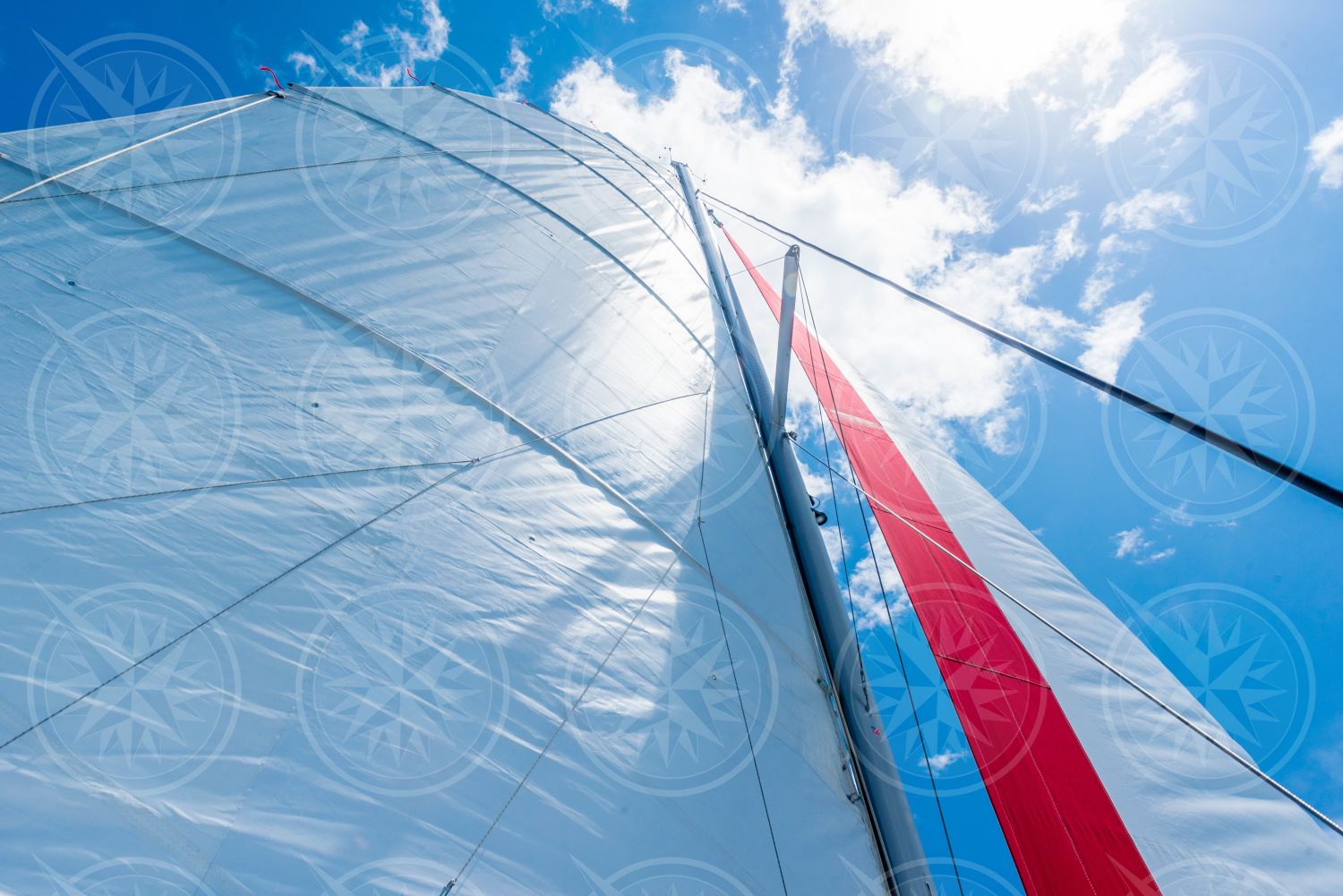 Looking up at the mainsail and jib