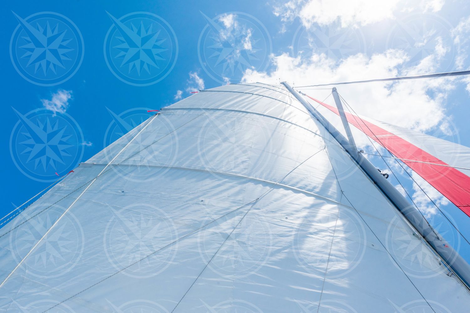 Looking up at the mainsail and jib