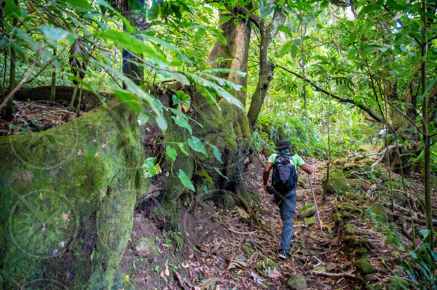 Hiking