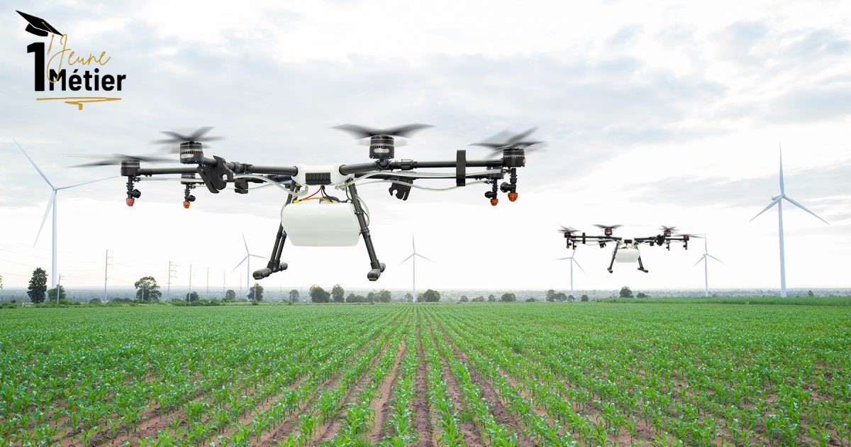 Agrobusiness 2.0 Agrotech Afrique Centrale - 1Jeune1Métier