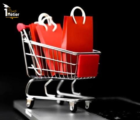 Dropshipping en Afrique