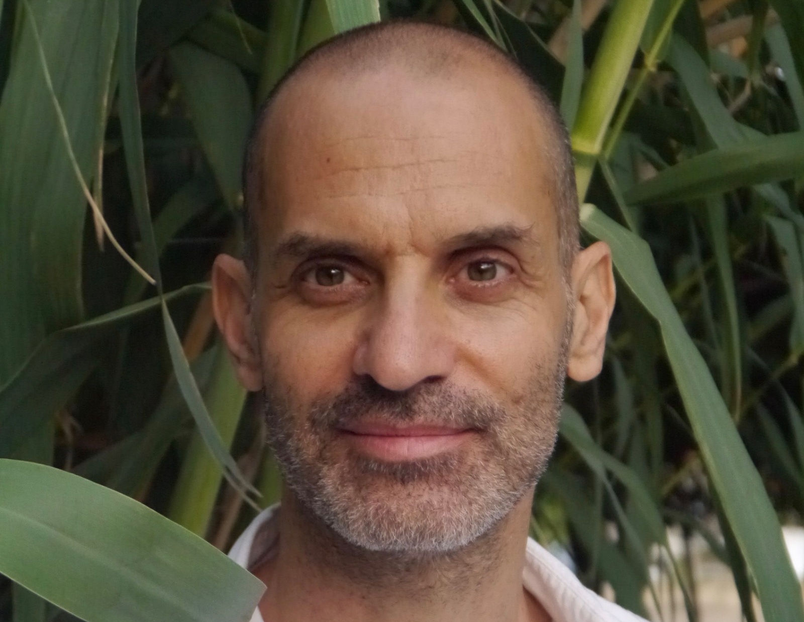 Mehmet Yaygin