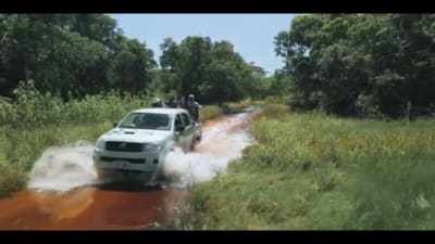 trail element 6