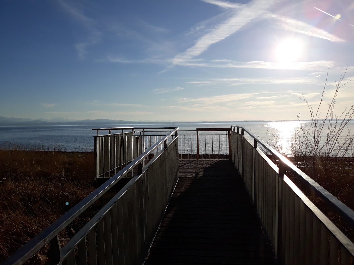 Aussichtsplattform "Altes Strandbad" Eriskircher Ried