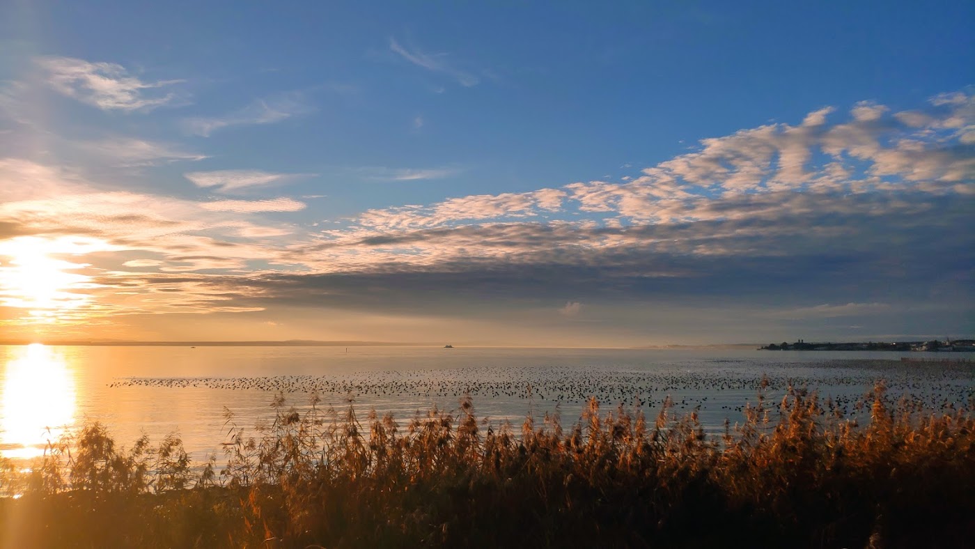Aussichtsplattform "Altes Strandbad" Eriskircher Ried – Bild 2