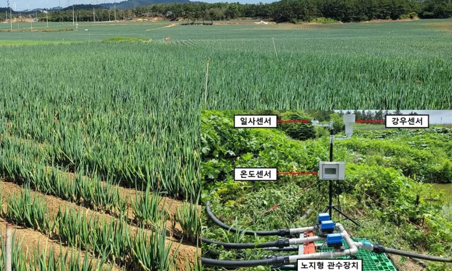 전남농기원, 특허기술 민간 이전으로 상용화 가속