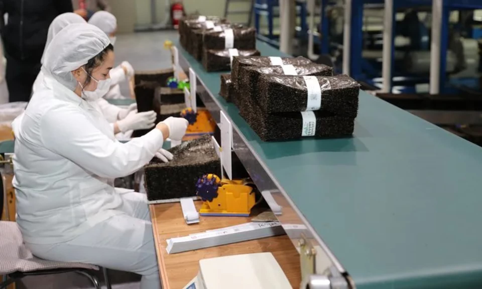 전남 김 수출액, 통계 정정으로 연간 1억 달러 이상 증가 전망