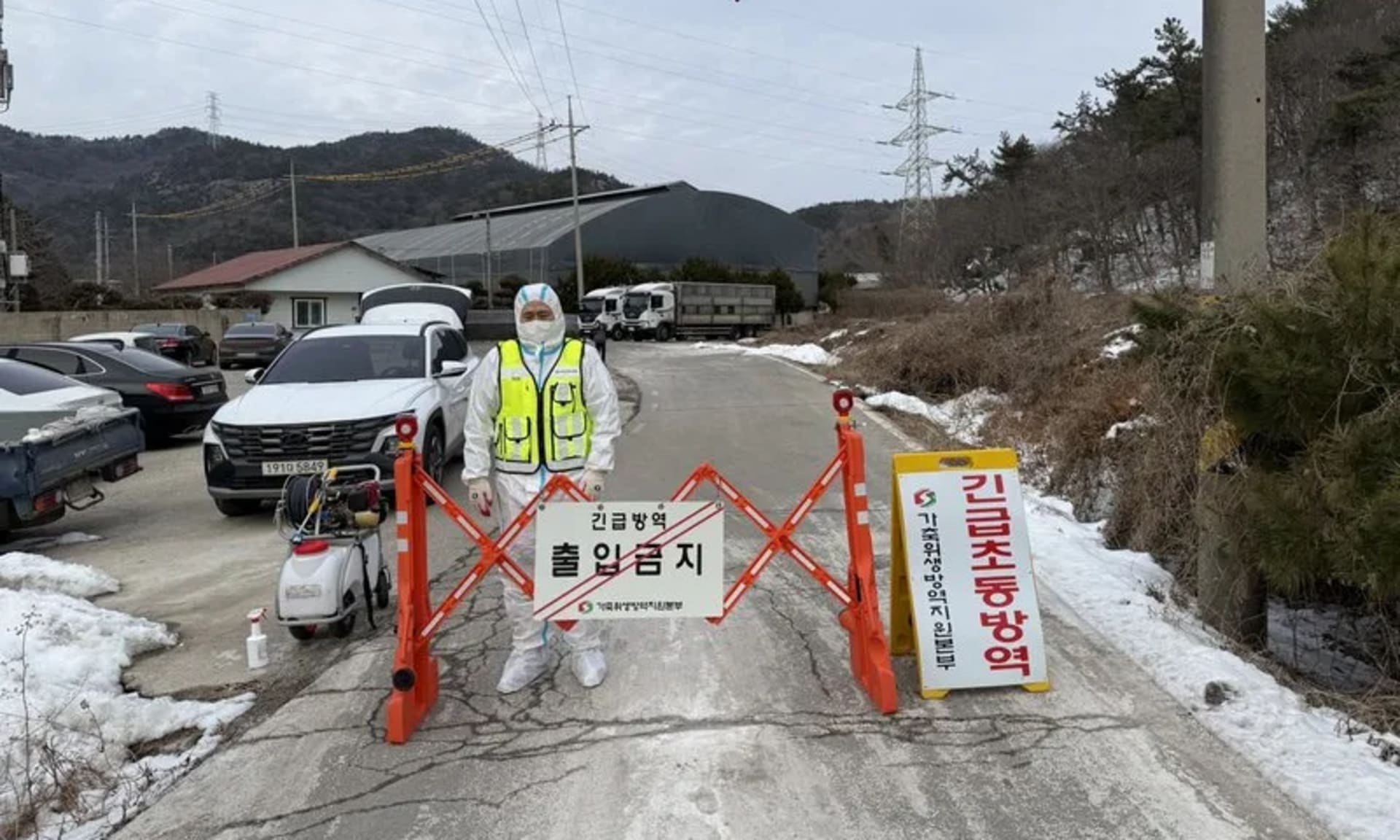 영광 양돈농장 ASF 발생, 전남도 확산 차단 총력