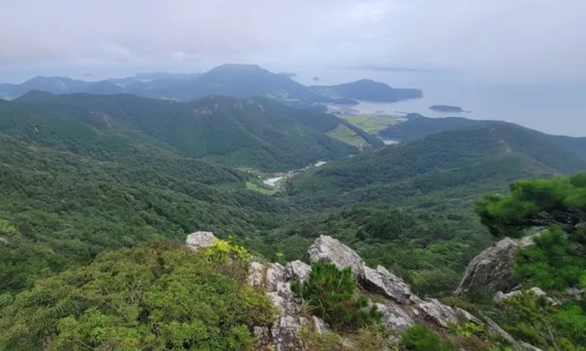 전남도, 산림 복원·치유·레포츠 3대 신규사업 국비 확보