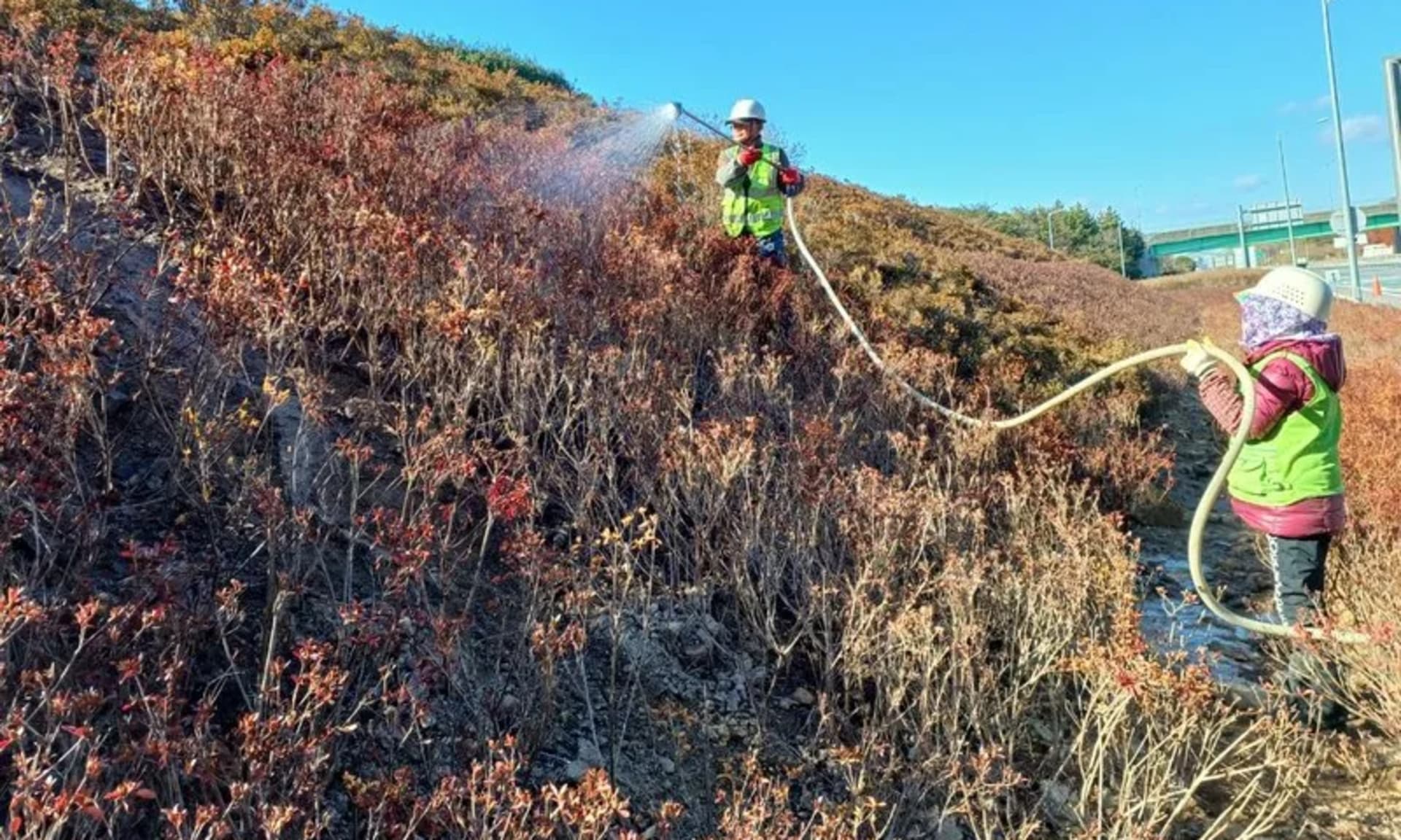 순천시, 기존 수목 이식으로 예산 절감？친환경 효과 ‘일석이조’
