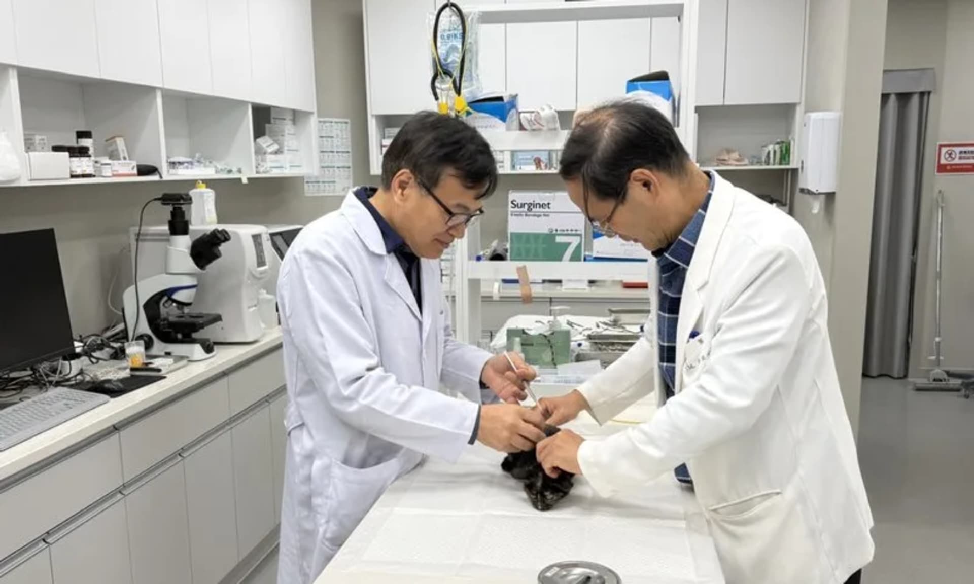 순천시, 중증장애인 및 취약계층 반려동물 진료비 지원사업 시행