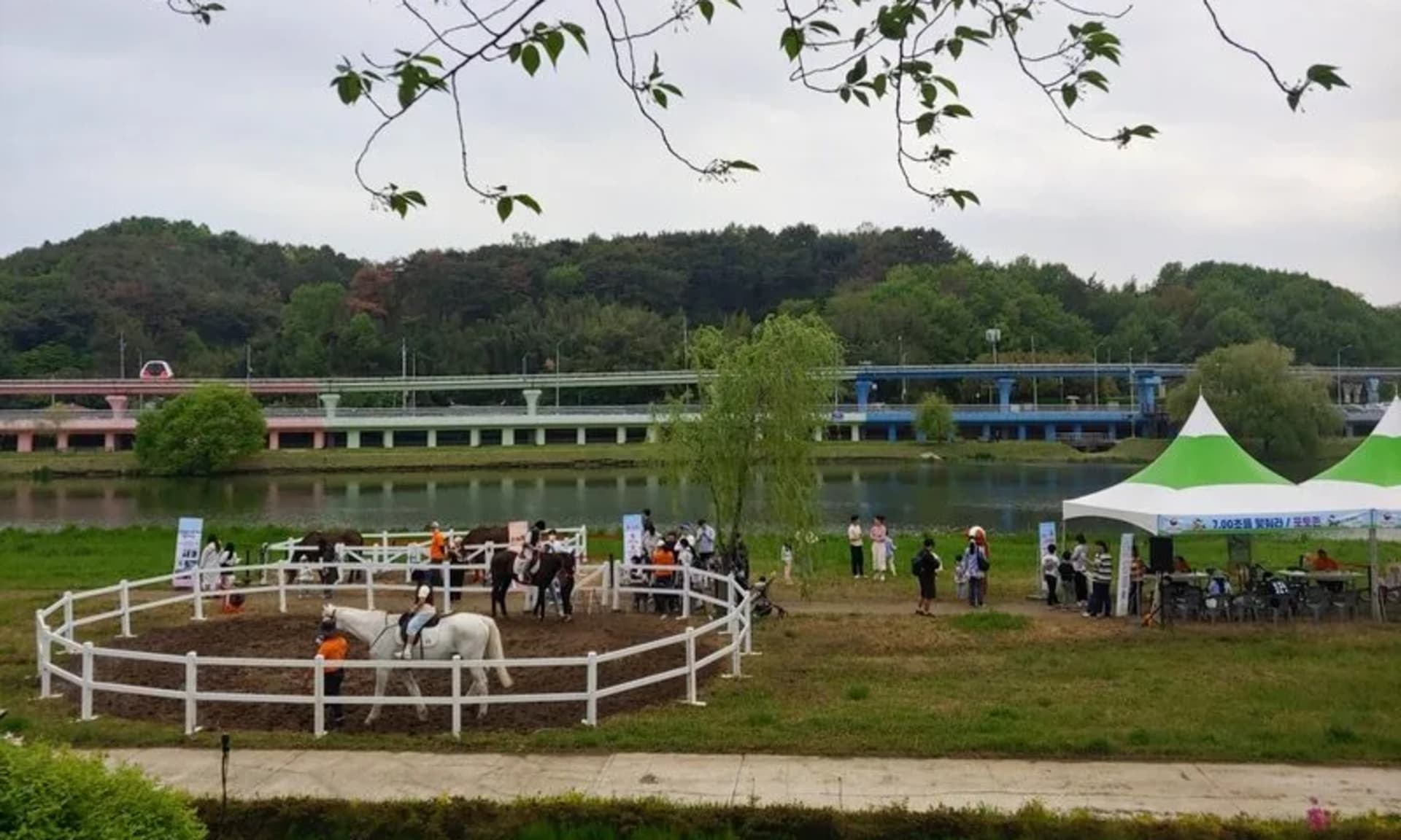 순천만국가정원 ‘정원 속 힐링승마’, 2천 명 눈길 사로잡다