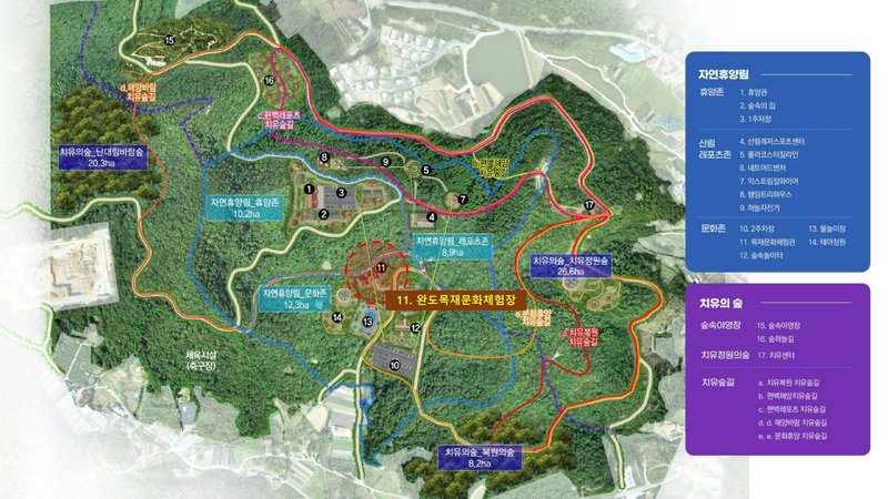 완도군, 80억 투입 산림치유단지에 목재 문화 체험장 조성 - 전남 뉴스 | 코리아NEWS