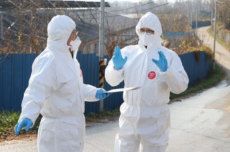 영암군, 고병원성 조류독감 확산 방지 총력 - 안전 뉴스 | 코리아NEWS