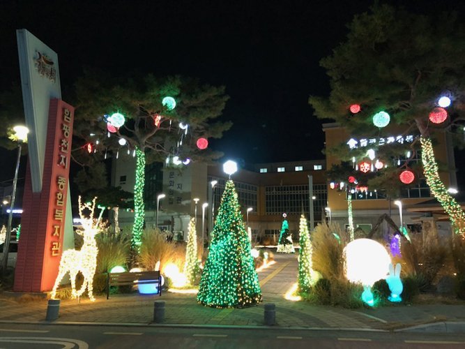 함평군 천지종합복지관, 빛의 정원 조성…도심 곳곳 ‘빛의 향연’ - 복지 뉴스 | 코리아NEWS