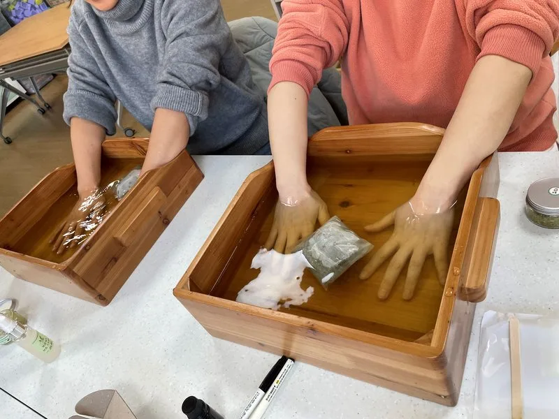 보성군, 전남권환경성질환예방관리센터 ‘우수웰니스 관광지’ 3회 연속 선정(산림산업과) - 문화 뉴스 | 코리아NEWS