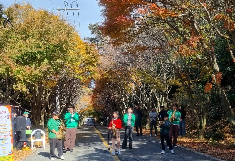 단풍으로 물든 슬로시티 청산도’ 관광객으로 북적 - 문화 뉴스 | 코리아NEWS