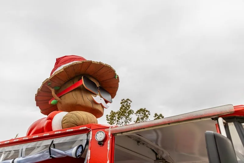 순천만국가정원, 겨울 정원 ‘산타가든 위크(week)’ 개최 - 문화 뉴스 | 코리아NEWS