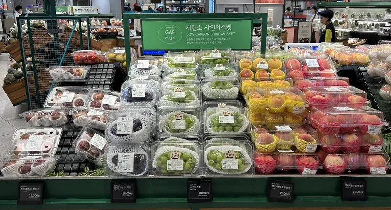 전남도, 저탄소농산물 인증 전국 1위…탄소중립 실천 선도 - 경제 뉴스 | 코리아NEWS