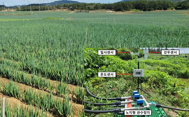 전남도, 농식품부 노지 스마트농업 육성지구 사업 공모 - 행정 뉴스 | 코리아NEWS