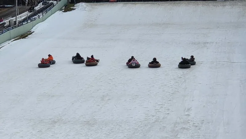 곡성 오산초, 화순 백아산 눈썰매장에서 겨울스포츠 체험학습 실시 - 교육 뉴스 | 코리아NEWS