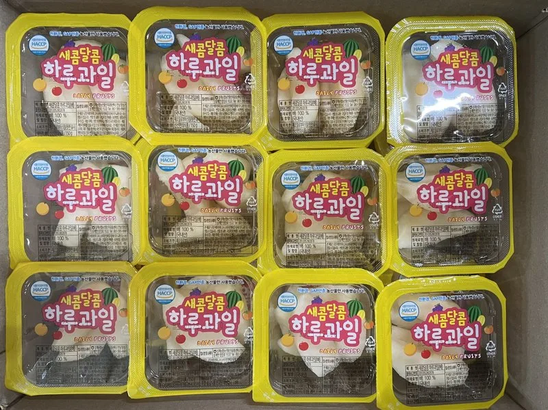 전남도, 2026년부터 어린이 과일간식 지원 확대 - 교육 뉴스 | 코리아NEWS