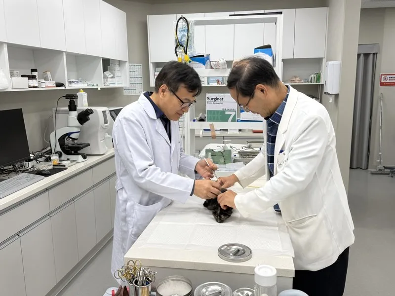 순천시, 중증장애인 및 취약계층 반려동물 진료비 지원사업 시행 - 복지 뉴스 | 코리아NEWS