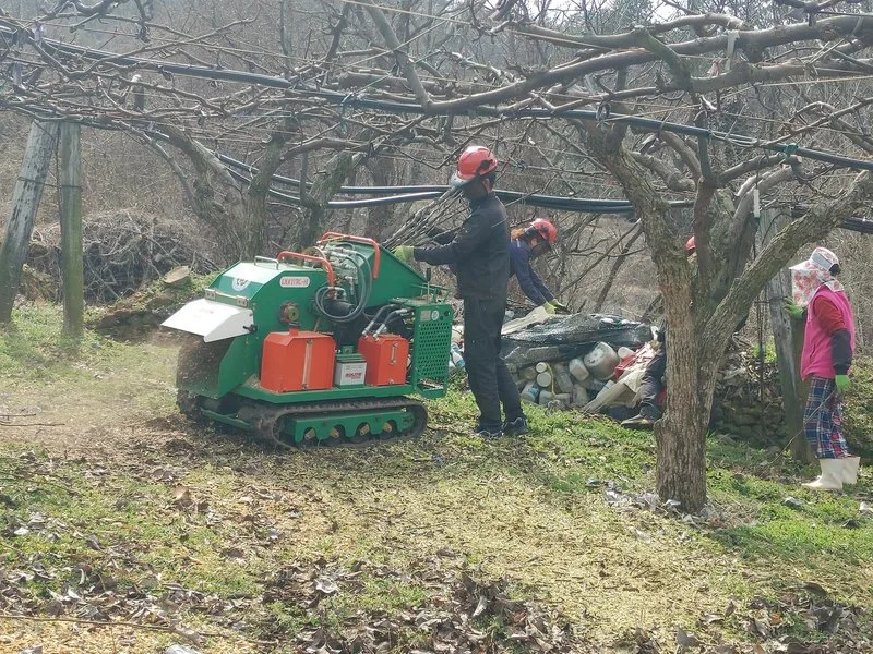 2026-01-09
보성군, 2026년‘영농부산물 파쇄지원’ 신청 접수(농업기술센터) - 환경 뉴스 | 코리아NEWS
