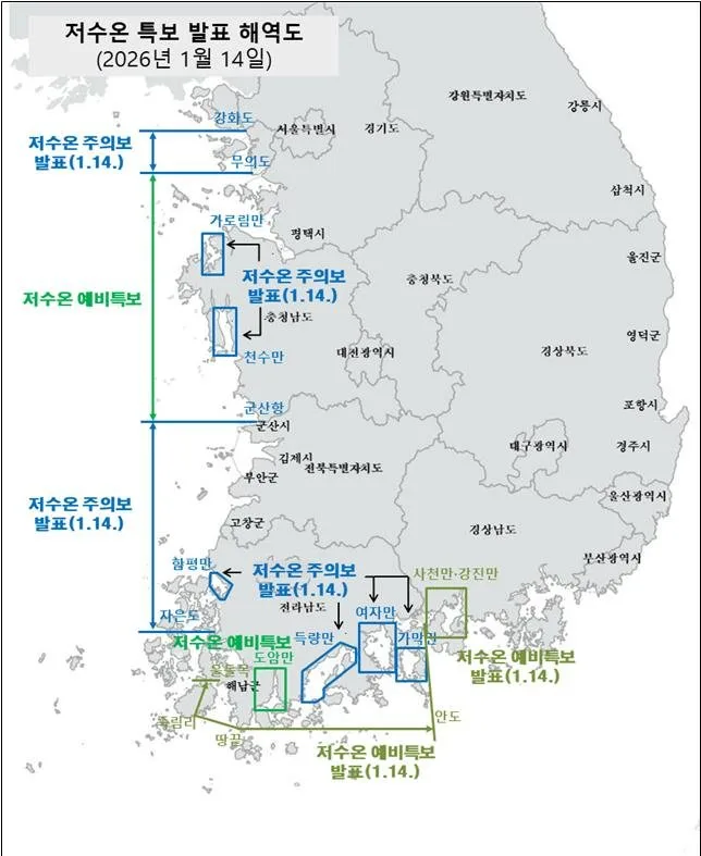 전남도, 서부·내만 해역 저수온 주의보…피해 예방 총력 - 안전 뉴스 | 코리아NEWS
