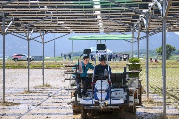 영암군, 농정대전환 가속…벼 중심서 벗어나 미래 성장동력 확보 - 경제 | 코리아NEWS