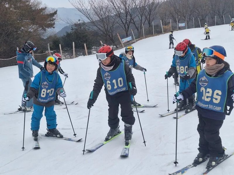 완도교육청, ‘작은학교 다문화 어울림 스키캠프’ 운영 - 교육 | 코리아NEWS