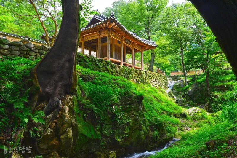 설 연휴 담양으로 떠나세요! 죽녹원·소쇄원 등 명품 관광지 무료 개방