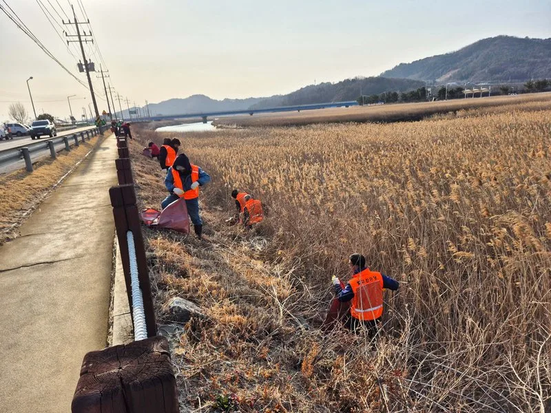 보성군 벌교읍, 설 명절 맞아 민관 합동 환경정화 활동 전개